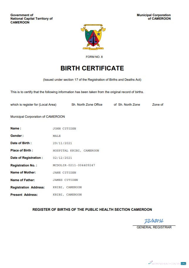 Download Cameroon vital record birth certificate Word and PDF template Photoshop template